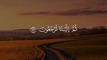 كل نفس ذائقة الموت 🤍🕊 #قران #quran #قران_كريم #Allah #اللهم_صلي_على_نبينا_محمد