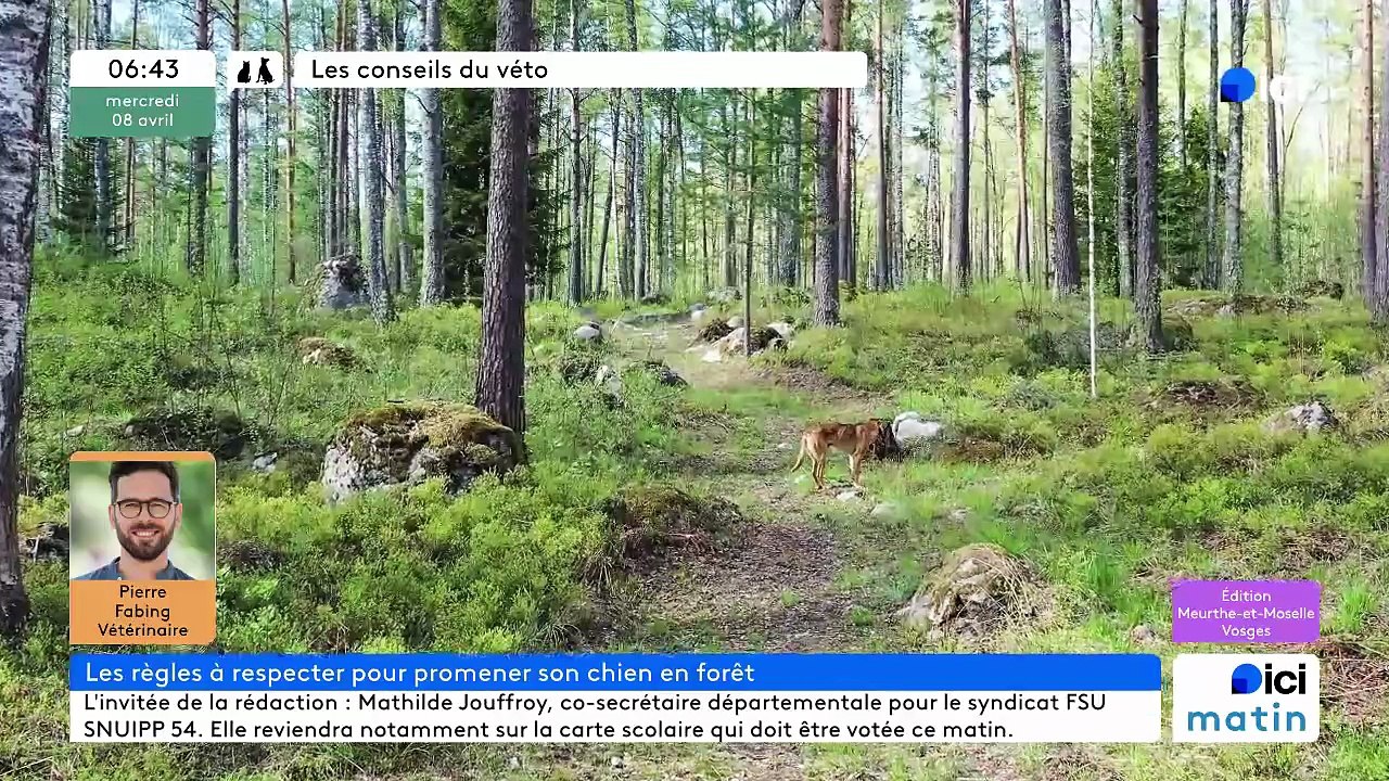 08/04/2026 -  ici matin par Ici Lorraine (Meurthe-et-Moselle et Vosges) en vidéo