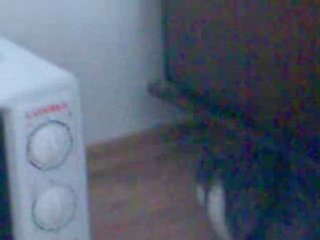 M0nsieur VS balle de pigu-pong