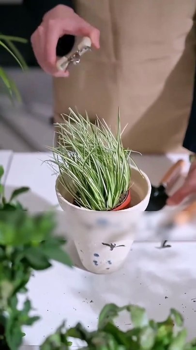 💞The handsome school heartthrob was cold to everyone, but I captured his heart and warm him!#cdrama