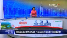 Pedagang Starling Terdampak Akibat Harga Plastik Melonjak | KOMPAS SIANG
