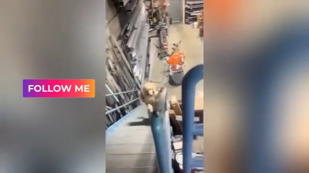 Essaye de ne pas rire