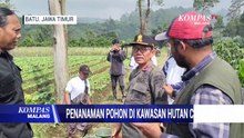 Tanam Pohon di Kawasan Hutan Coban Talun, Upaya Kembalikan Hutan