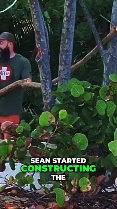 Survival Shelter Built! Island Wildlife Surprise & Danger