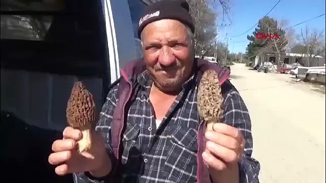 Doğada kendiliğinden yetişen ''kara elmas'' köylülerin gelir kapısı oldu: Kilosu 1000 TL'den satılıyor