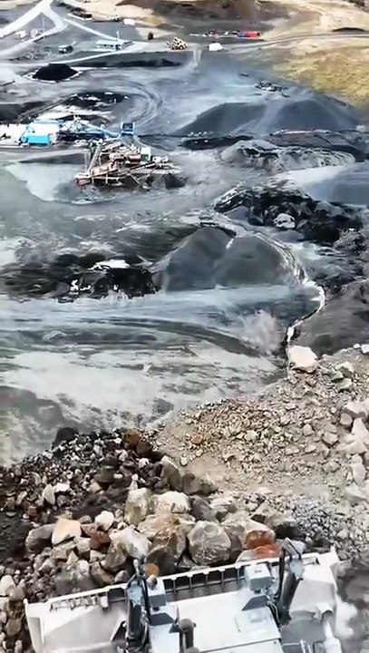 Viral video