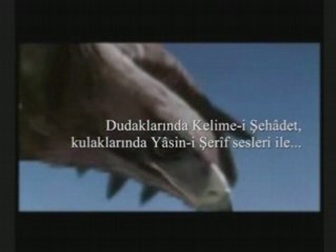 UÇACAKLAR (Fatih Sultan Mehmed Han) [from metacafe.com]