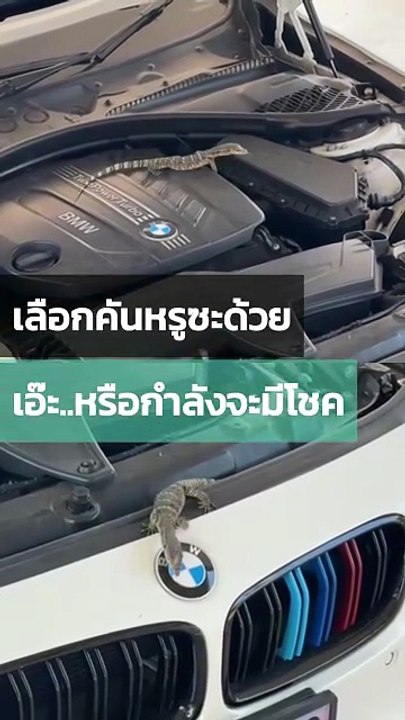 มาไง...เลขเด็ดงวดนี้ต้องเข้าแล้วไหม แบบนี้