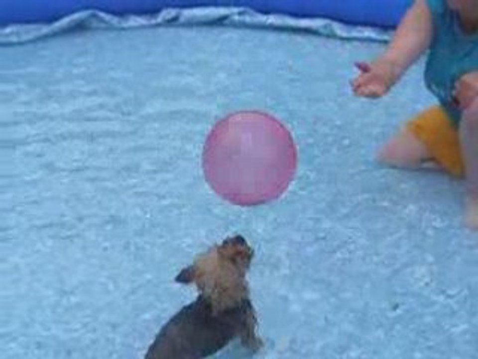 roxy dans la piscine