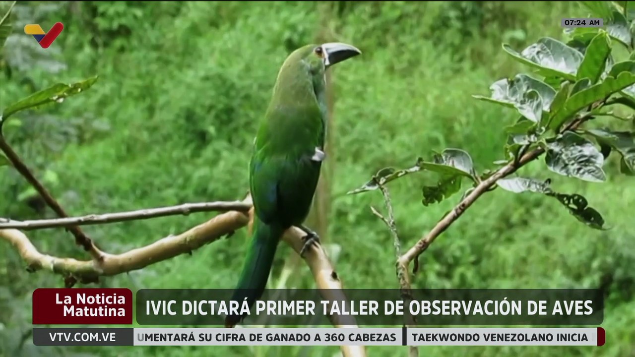 IVIC dictará taller de observación de aves para promover el conocimiento de estas especies