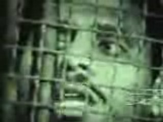 قبل تنفيذ حكم الاعدام