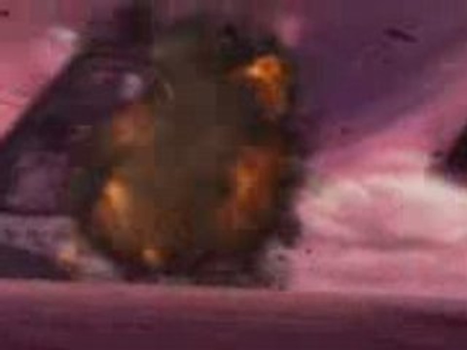 Star Wars : la Guerre des Clones