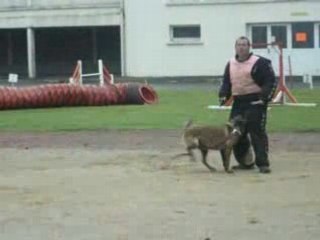 le mordant a notre école