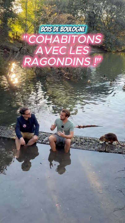 BOIS DE BOULOGNE : « COHABITONS AVEC LES RAGONDINS ! »