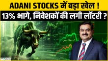 Adani Stocks में विस्फोट! 13% रैली कबतक टिकेगी, BUY करें या रुकें? | Harshal Dasani की राय!