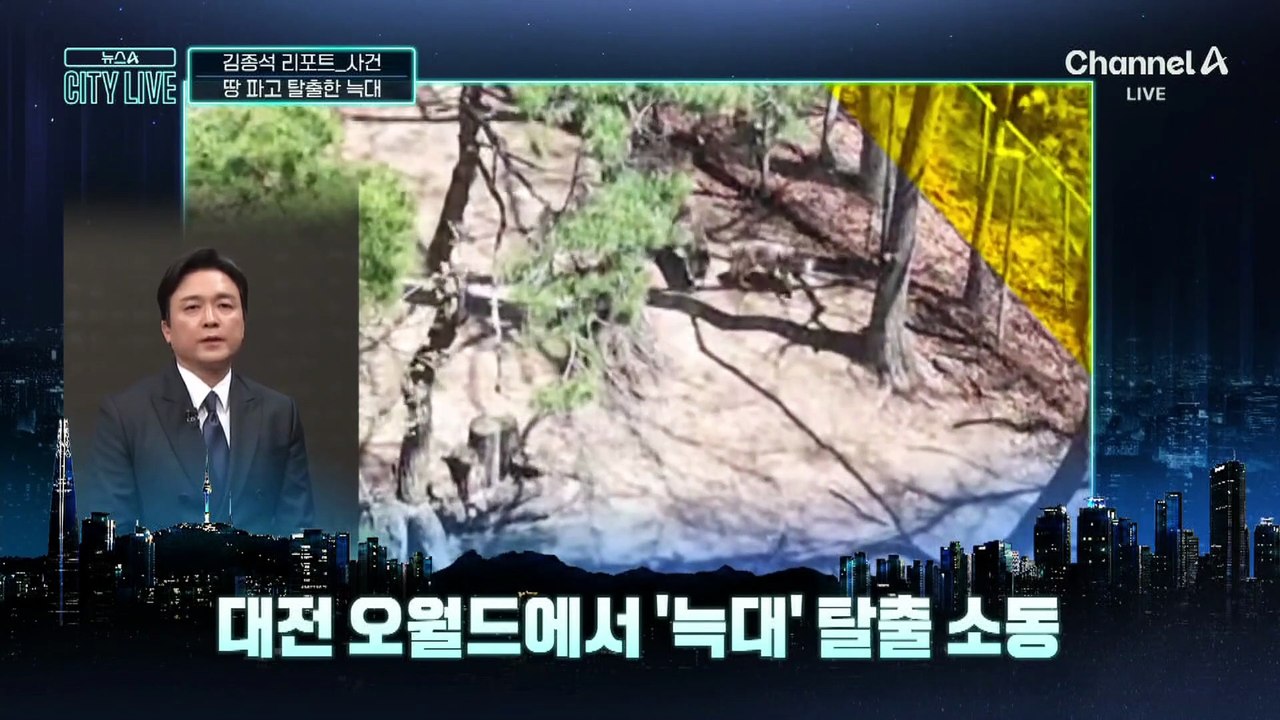 [김종석의 리포트]동물원 밖으로…대전서 늑대 탈출 ‘발칵’