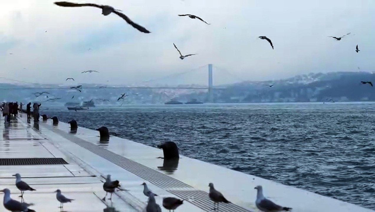 test_vid
