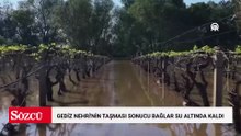 Manisa'da Gediz Nehri'nin taşması sonucu bağlar su altında kaldı