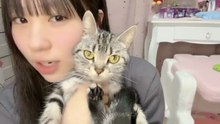 山川万里愛 HKT48 2026-04-08 21_57 SHOWROOM