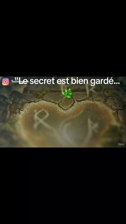 https://fr.ulule.com/maison-lemur/