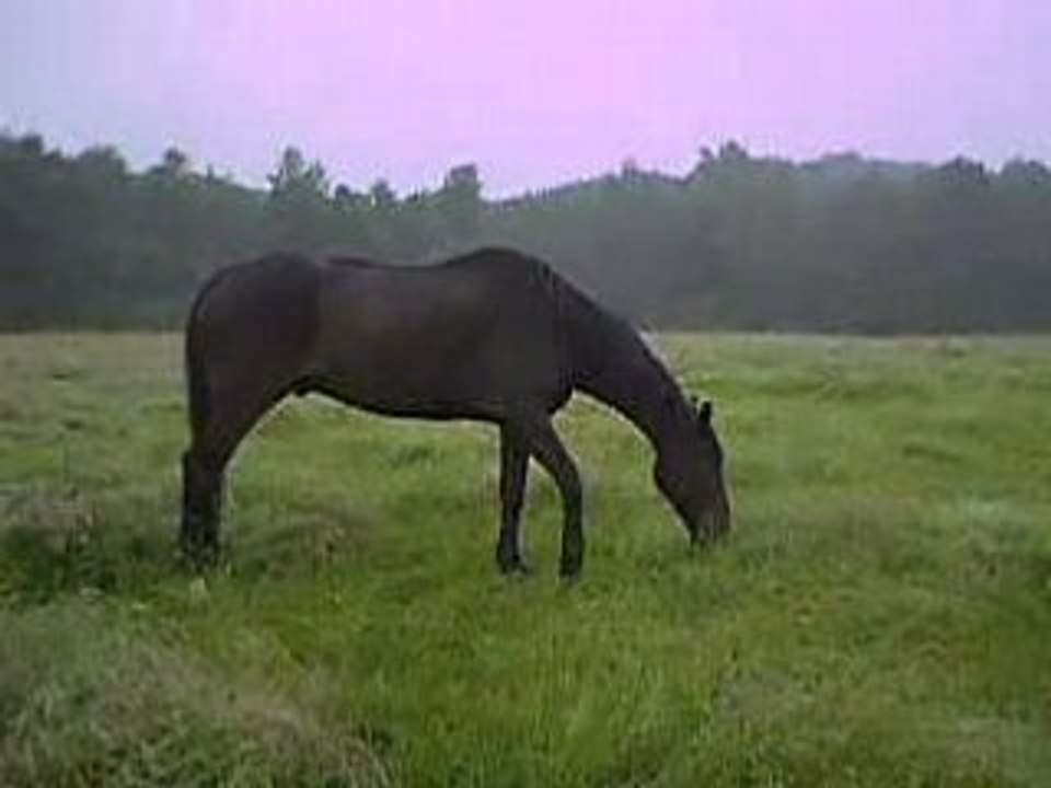 PICT0027