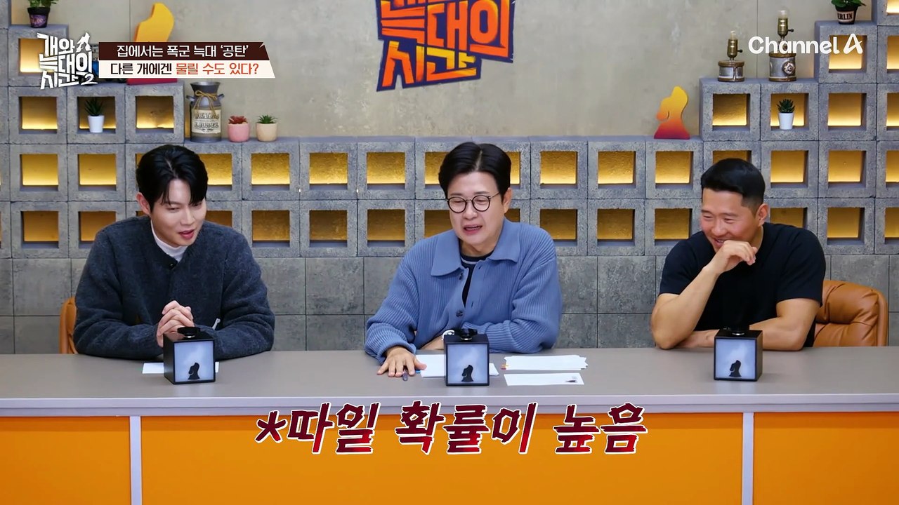 집에서는 폭군 대마왕, 밖에서는 사회성 부족! 왕따 취급받는 우리 개 나이 먹으면 문...