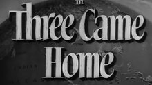 Three Came Home (1950) – Harrowing WWII Survival Drama Based on a True Story