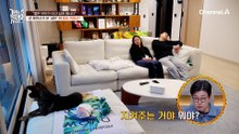 "아기를 가져야 하는데" 입질 심한 난폭견 때문에 고민하는 1년차 신혼부부