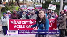 JIN TV |GÜNDEMİN SESİ-Pelin Özkaptan-Bir yaşam direnişi : Akbelen şirketlerden büyüktür
