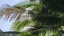 A vida é bela !