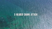 5-Headed Shark Attack Film deutsch