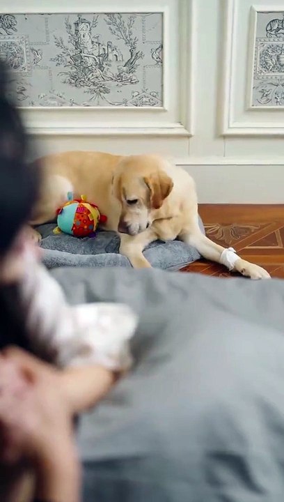 Eyes Open Revenge Starts! #netshort