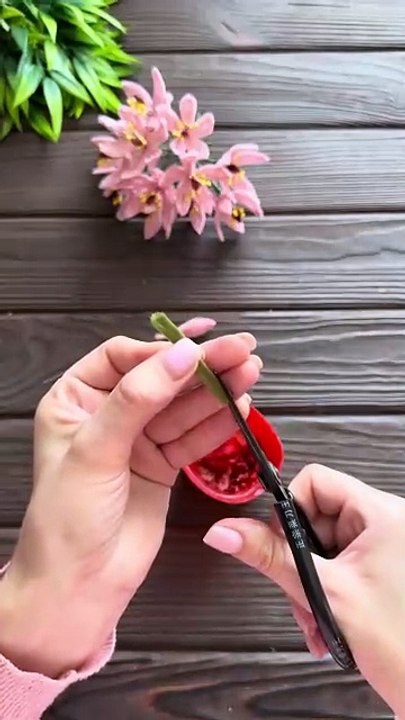 Orquídea