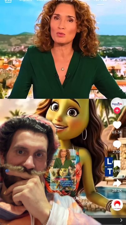 Cinq ans de prison pour le créateur de skibidi tentafruit