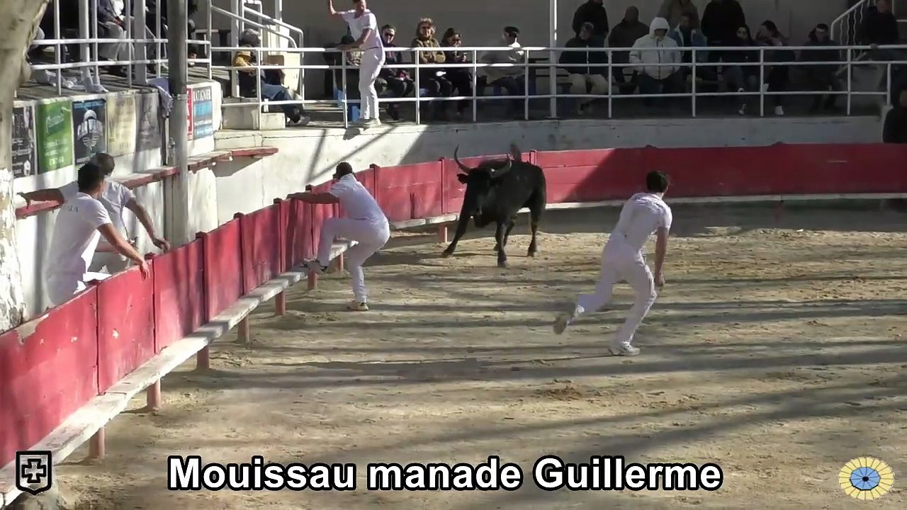 2026 03 29 Mouissau