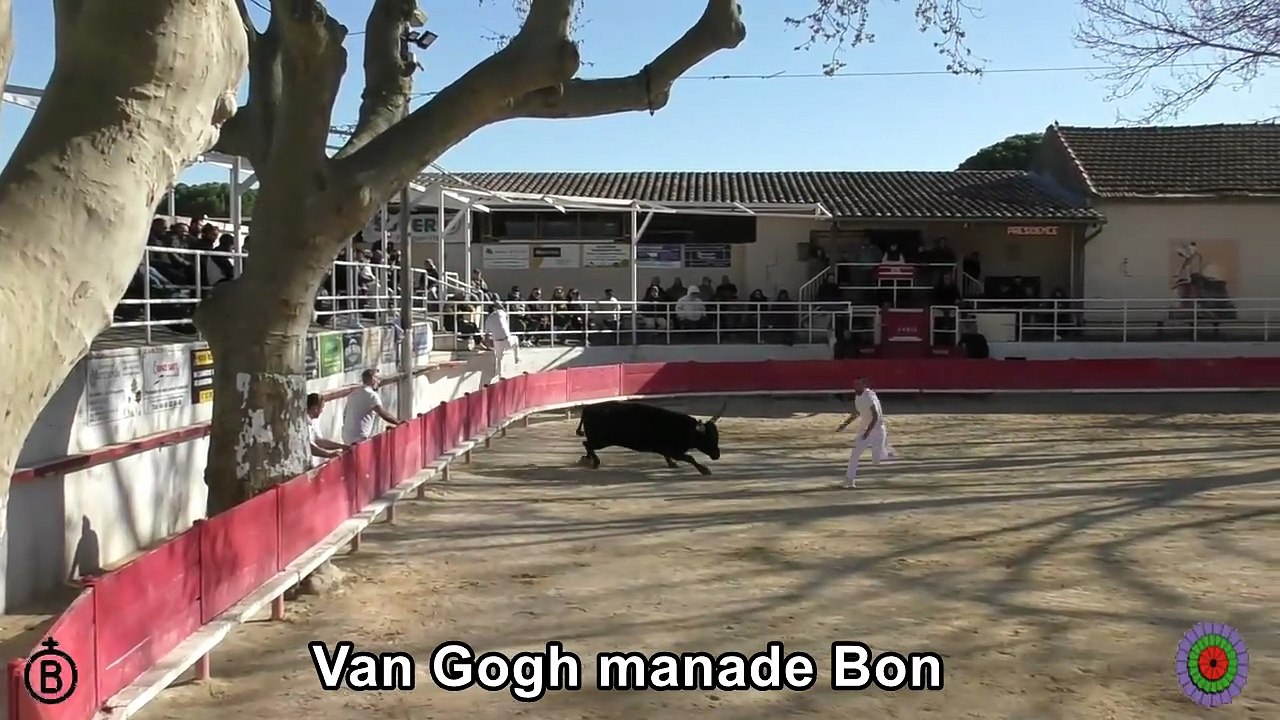 2026 03 29 Van Gogh