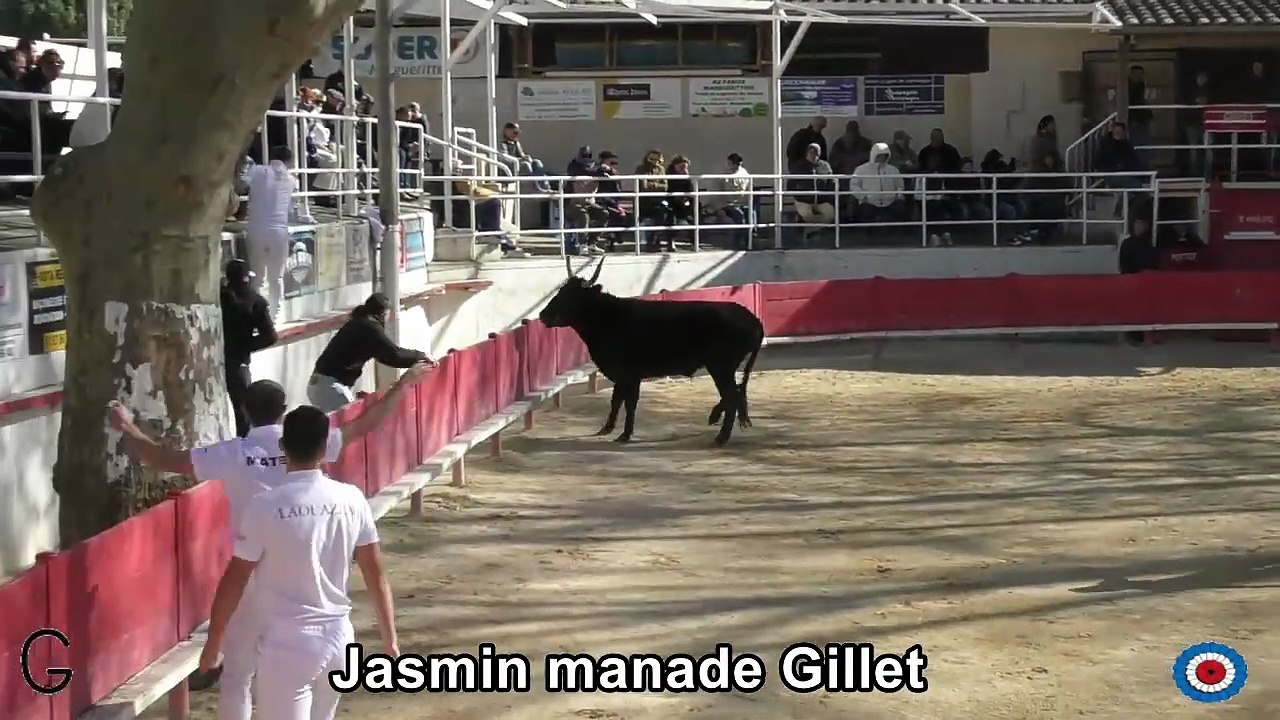 2026 03 29 Jasmin