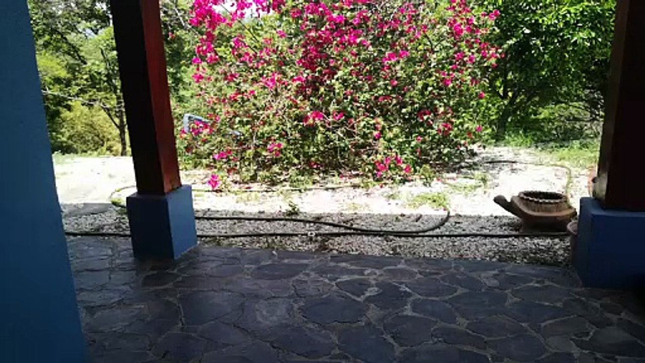 VID_20240528_122055