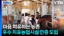 [녹색] 마음 치유하는 농촌...우수 치유농업시설 인증제 도입 / YTN