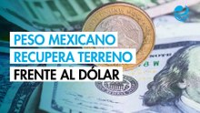 Peso mexicano recupera casi 30 centavos frente al dólar por anuncio de alto el fuego entre EU e Irán