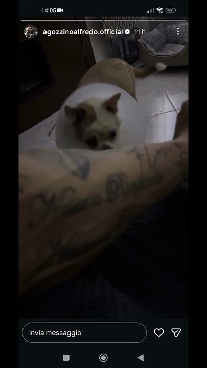 Agozzino Alfredo story coccole per il piccolo arnold