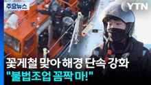 꽃게 철 맞아 해경 단속 강화..."불법 조업 꼼짝 마!" / YTN