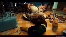 Guillermo Del Toros Cabinet Of Curiosities S01E04 The Outside