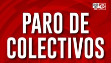Paro de colectivos: qué líneas no circulan y cuáles sí