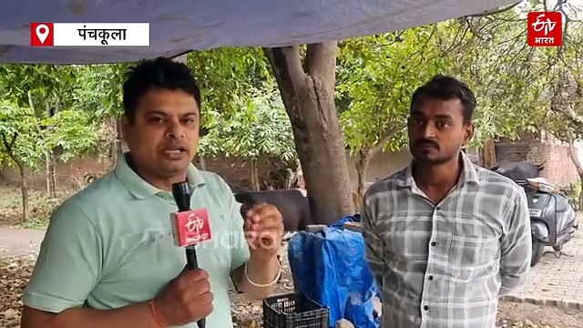 चंडीगढ़ और पंचकूला में नहीं मिल रहे छोटू गैस सिलेंडर, एजेंसियों के चक्कर काटने को मजबूर श्रमिक