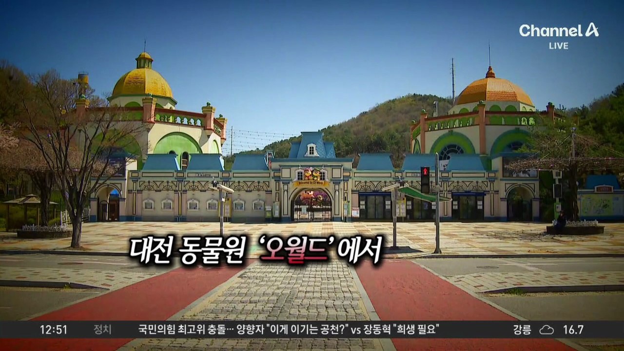 대전 오월드, ‘늑구’ 탈출에 ‘늑장 대응’ 논란도