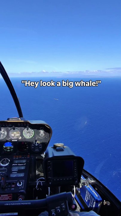 Hawaï : Un pilote d'hélicoptère filme par hasard un sous-marin militaire depuis les airs — Les images rares et époustouflantes qui font le tour du web