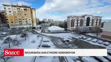 Erzurum'da kar etkisini sürdürüyor