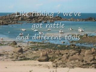 brittany: holiday house with seaview for rent, beach 200m