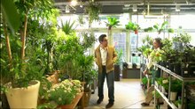 植物男子ベランダー.S01.E01